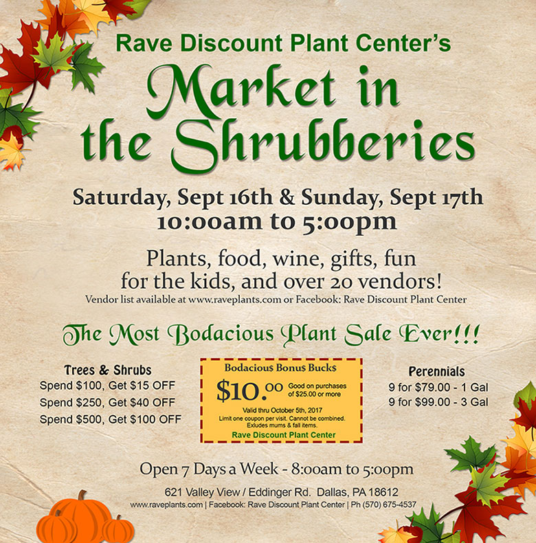 Rave Market in the Shrubberies