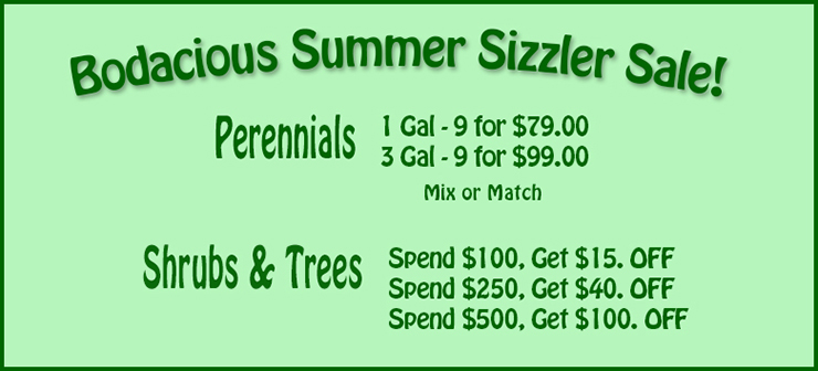 Summer Sizzler Sale!