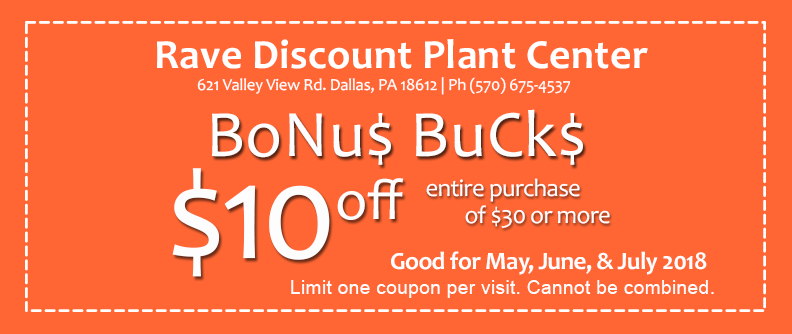 Bonus Bucks Coupon