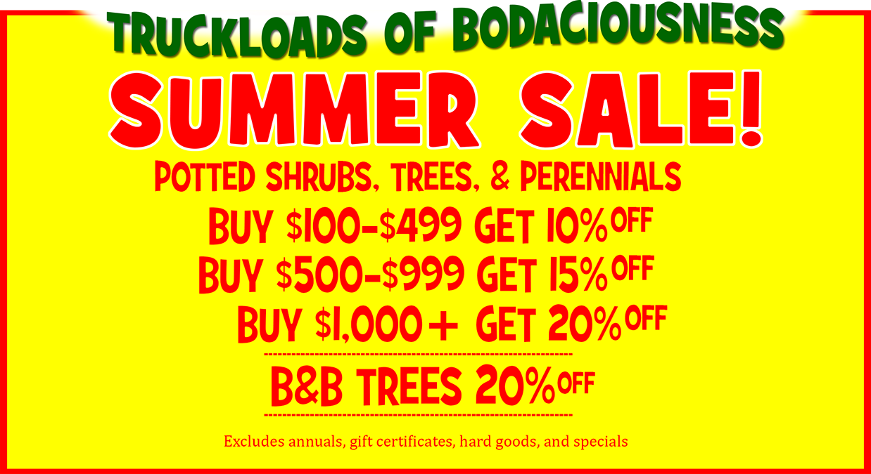 sale