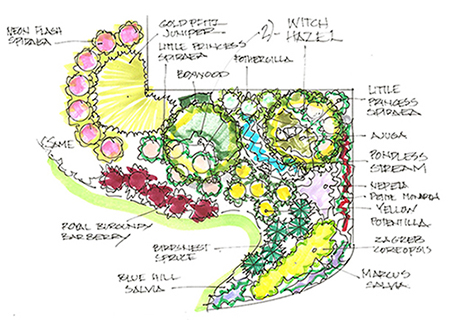 RAVE DIY Landscape Design